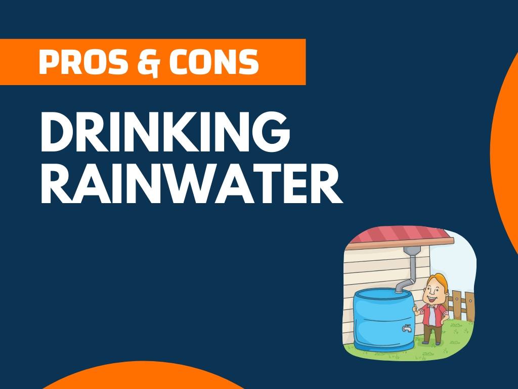 18+ Pros and Cons of Drinking Rainwater (Explained)