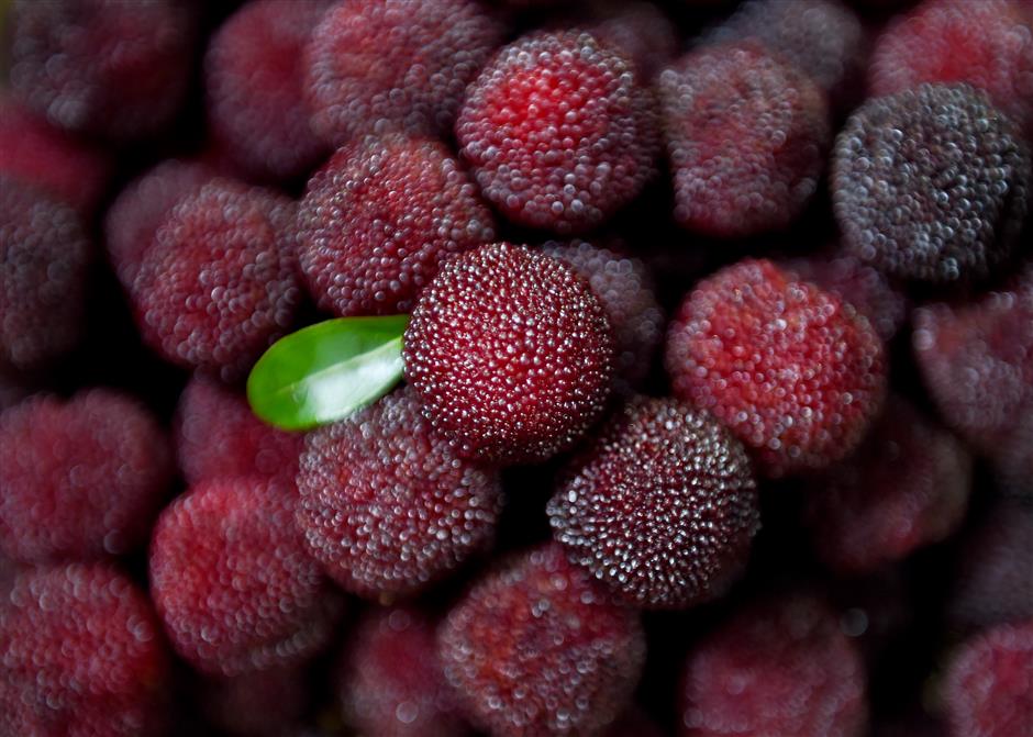 Waxberries from Xianju feature a reddish-purple color.