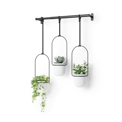 2 Best Black Friday Hanging Planters Deals (2024) & Sales