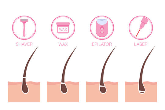 Indicators on Eyebrow Waxing You Need To Know