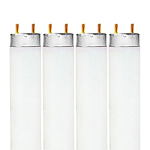 2 Best Black Friday Fluorescent Tubes Deals (2024) & Sales