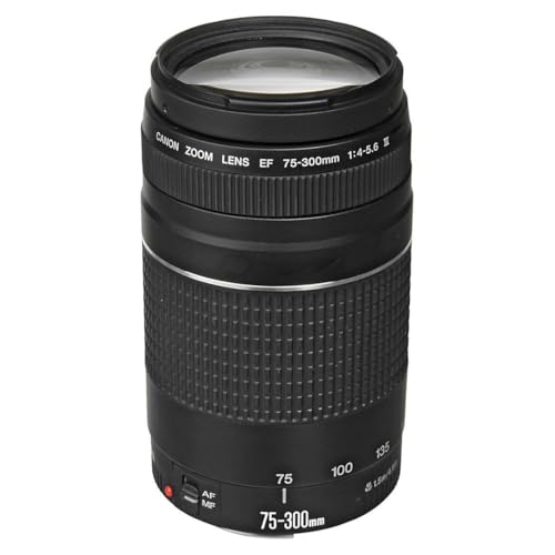 36 Best Black Friday SLR Camera Lenses Deals (2024) & Sales