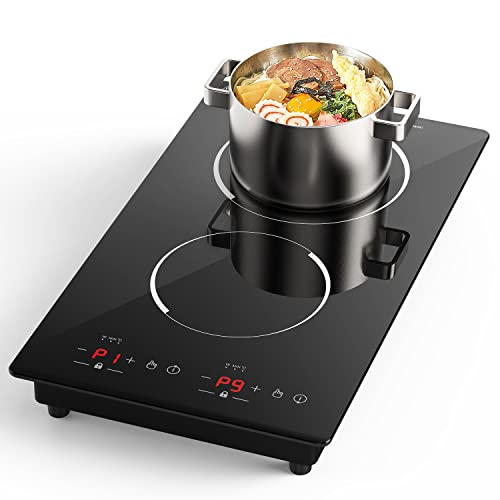 38 Best Black Friday Countertop Burners Deals (2024) & Sales