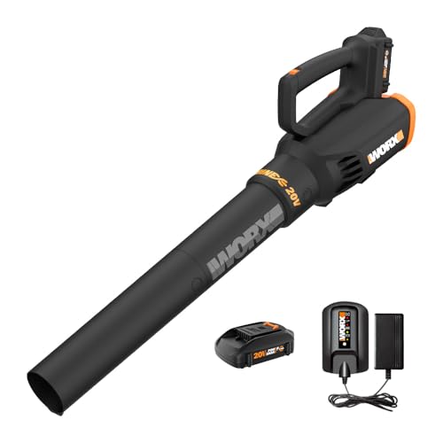 29 Best Black Friday Leaf Blowers Deals (2024) & Sales