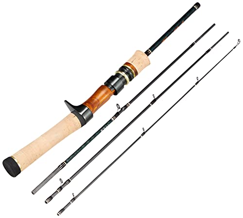 6 Best Black Friday Rods 2024 Deals & Sales