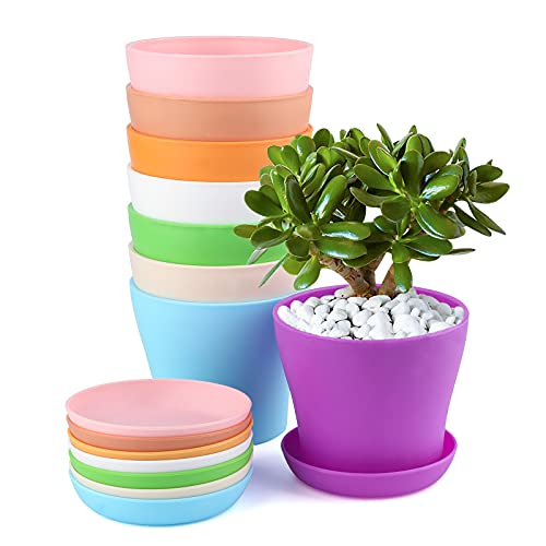 2 Best Black Friday Nursery Pots Deals (2024) & Sales