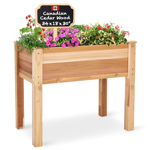 14 Best Black Friday Raised Beds 2024 Deals & Sales