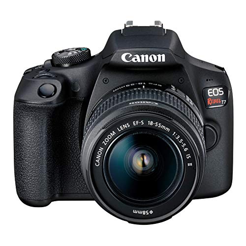 8 Best Black Friday DSLR Cameras Deals (2024) & Sales