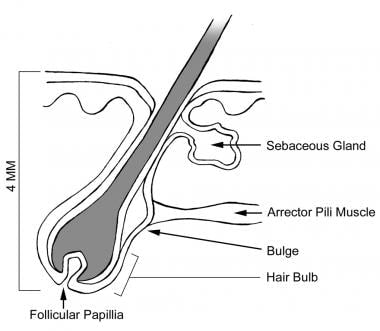 An Unbiased View of Laser Hair Removal Near Me