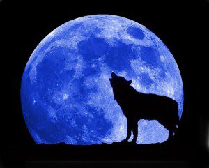 Blue Moon – waxing poetic.