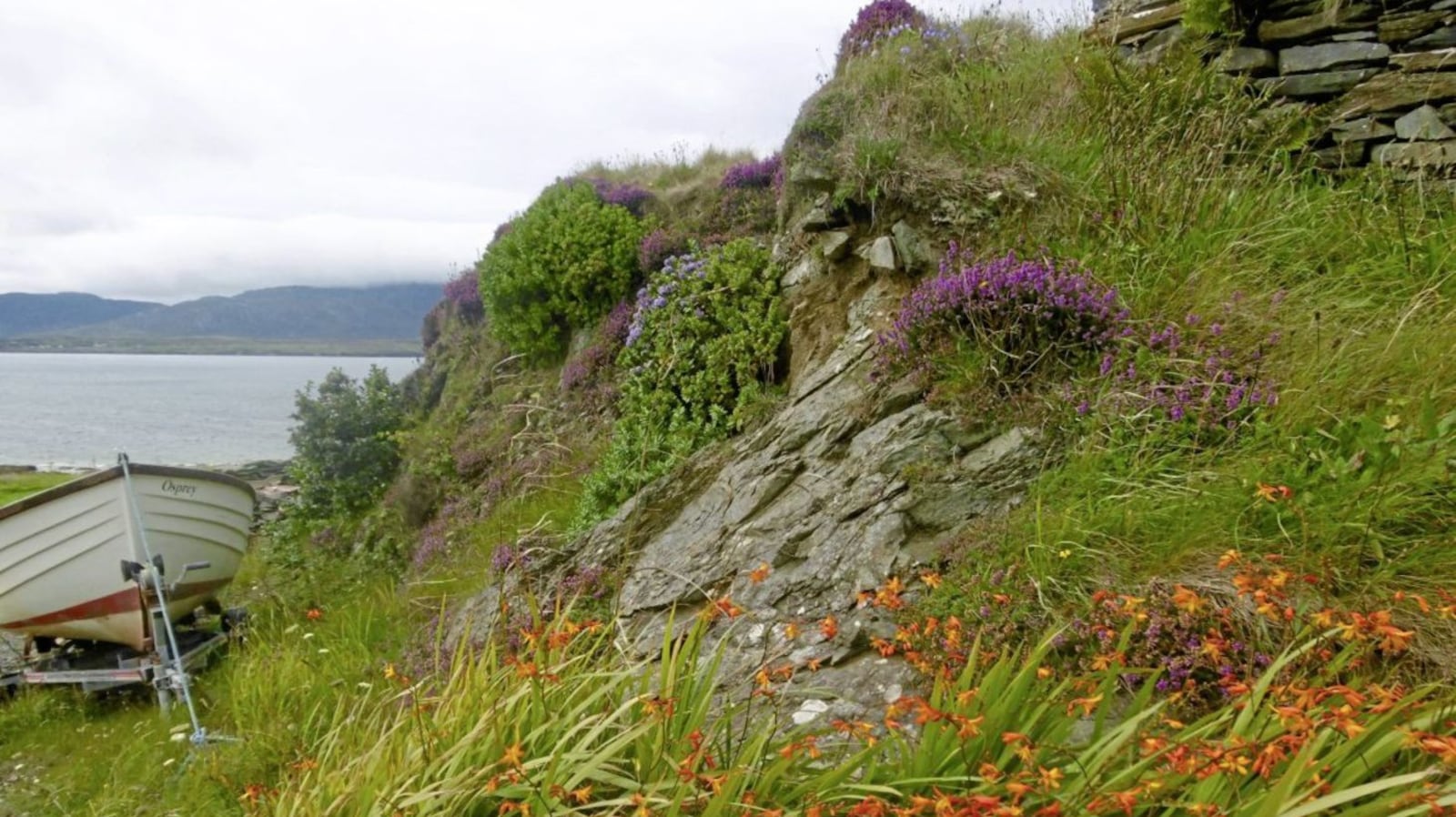 There's no better place to get back to nature and watch the world go by than Donegal