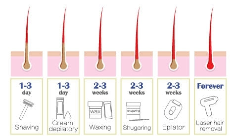 Waxing Near Me Fundamentals Explained