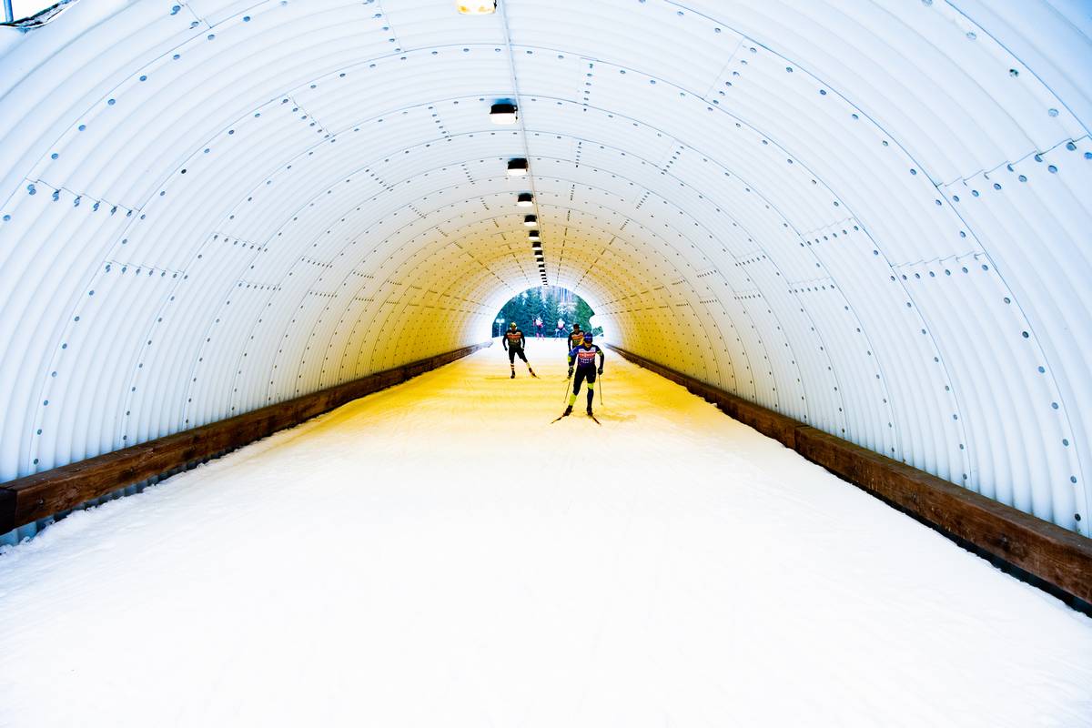 Biathletes training in Nové Město, Czech Republic. (Photo: NordicFocus)