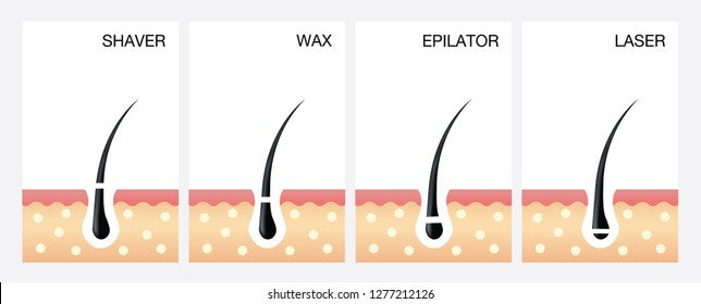 Our Eyebrow Waxing Near Me Statements