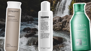 The Best Shampoos for Oily Scalp and Dry Ends