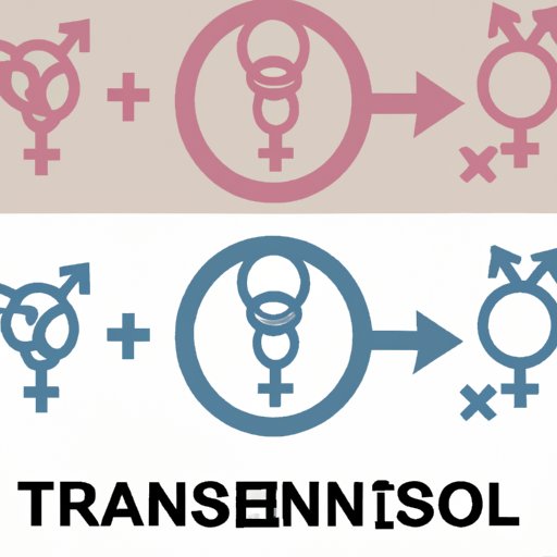 Understanding Transgender: Exploring the Biological, Social, and Legal Implications of Gender Identity