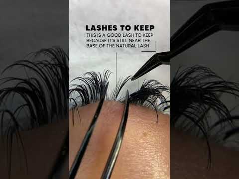 Hollywood Lash Extensions