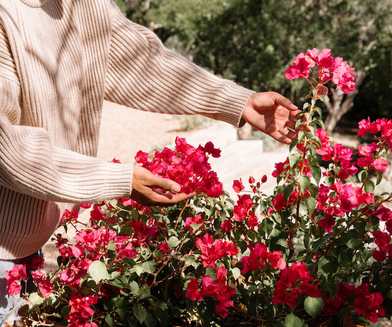 woman touching spring flowers